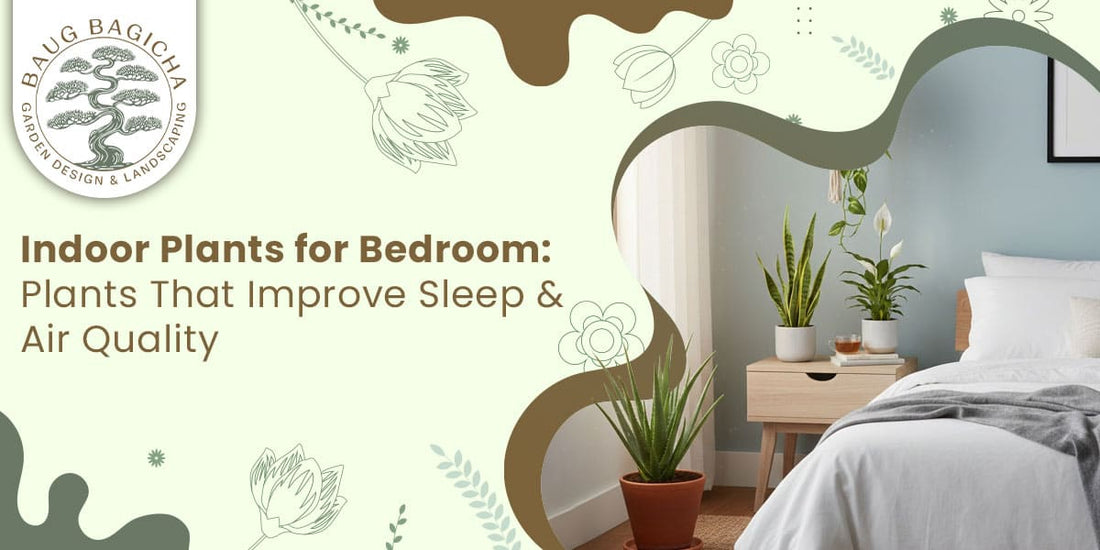 Indoor Plants for Bedroom:  Plants That Improve Sleep & Air Quality