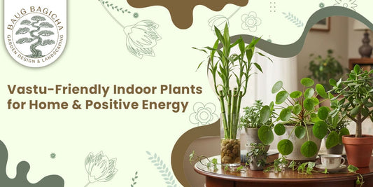 Vastu-Friendly Indoor Plants for Home & Positive Energy