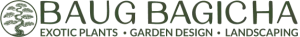 Baug Bagicha