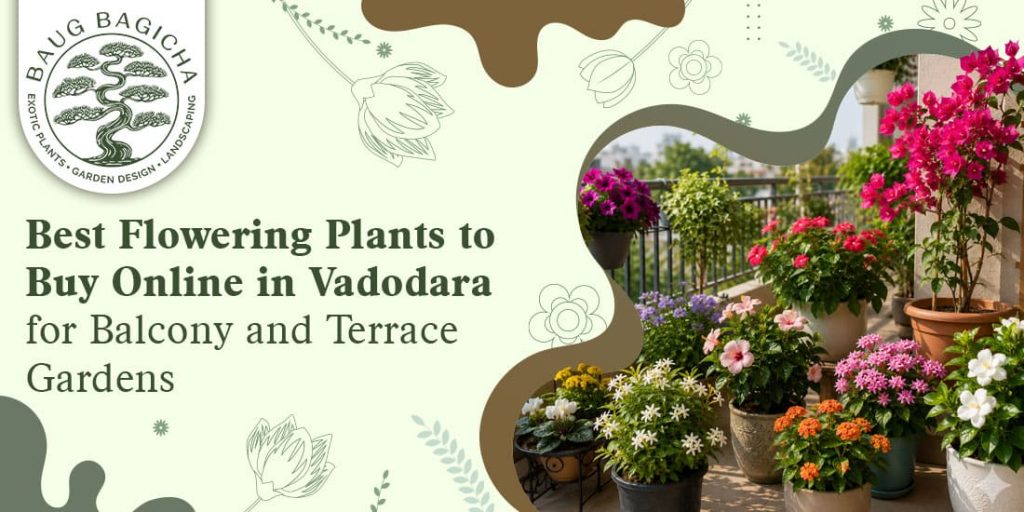 Buy flowering plants online in Vadodara