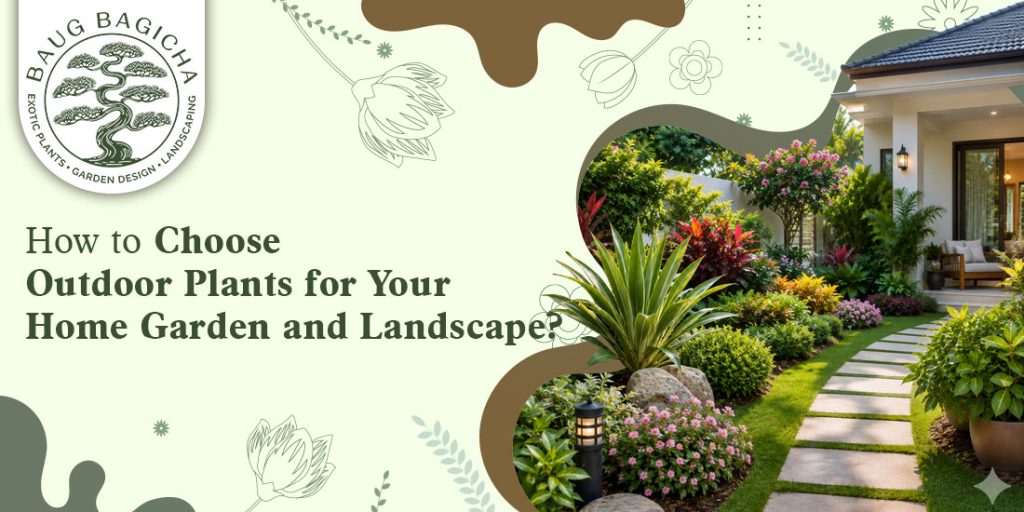 Buy outdoor plants online in Vadodara