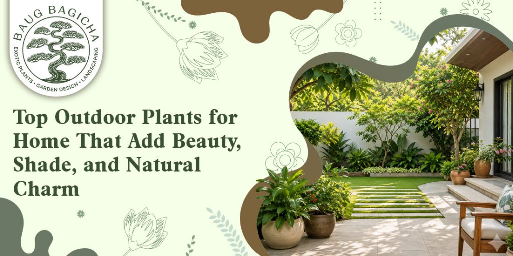 outdoor plant nursery online in Vadodara