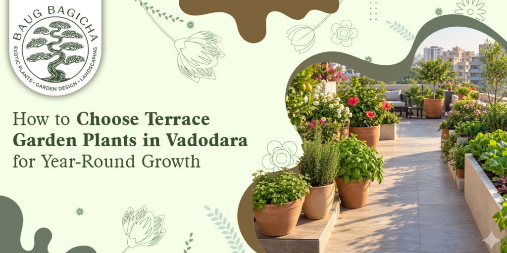 Buy garden plants online in Vadodara