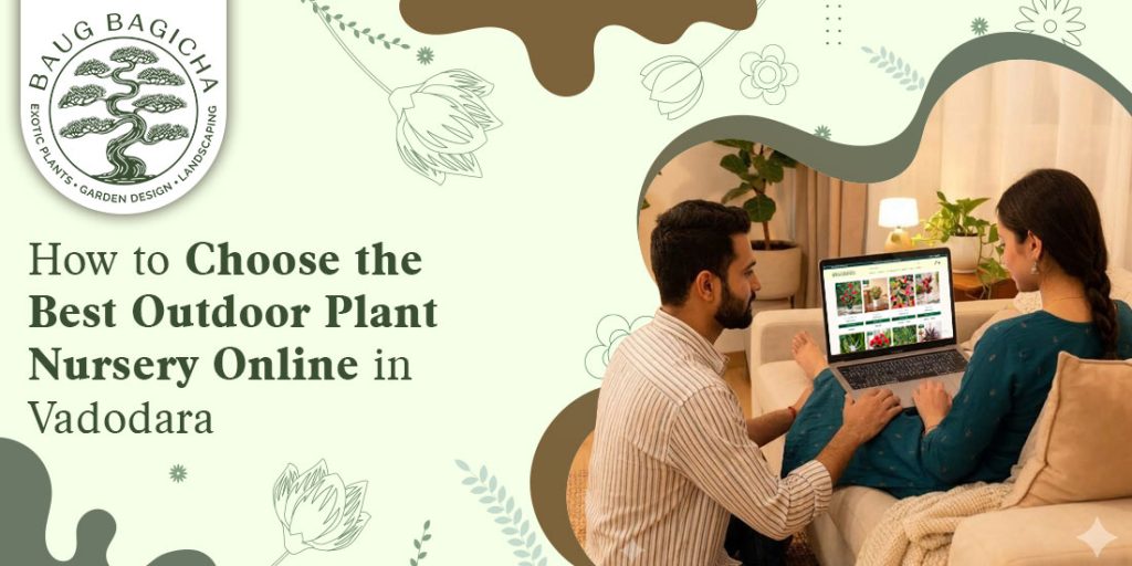 Buy outdoor plants online in Vadodara