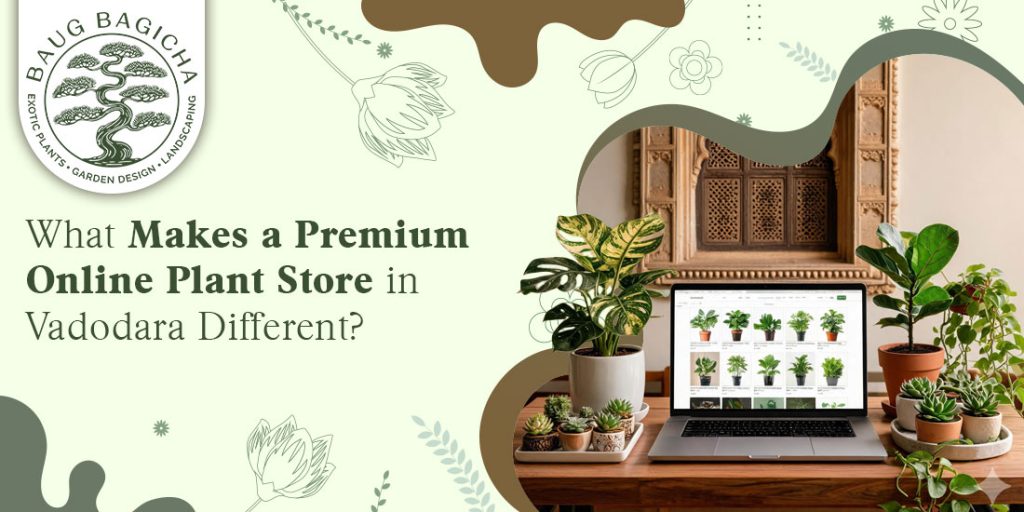 Premium online plant store in Vadodara