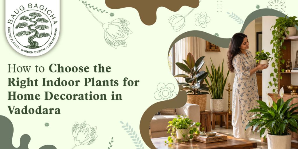 Right indoor plants for home decoration in Vadodara