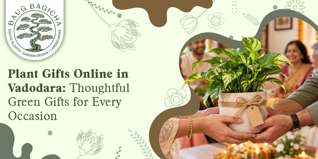 Online plant nursery in Vadodara