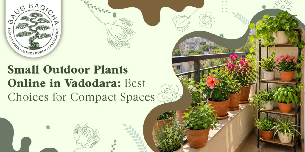 outdoor plants for home in Vadodara